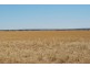 Moorine Rock WA 6425
