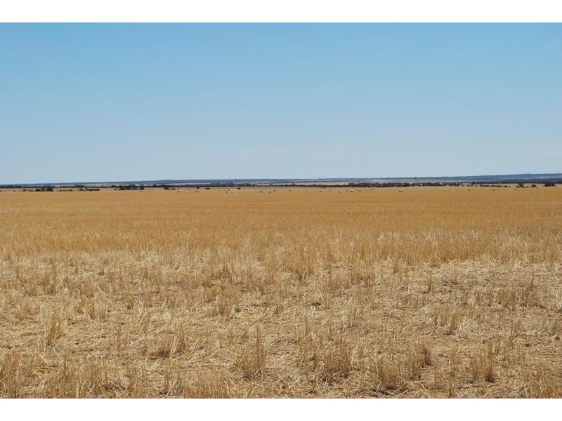 Moorine Rock WA 6425