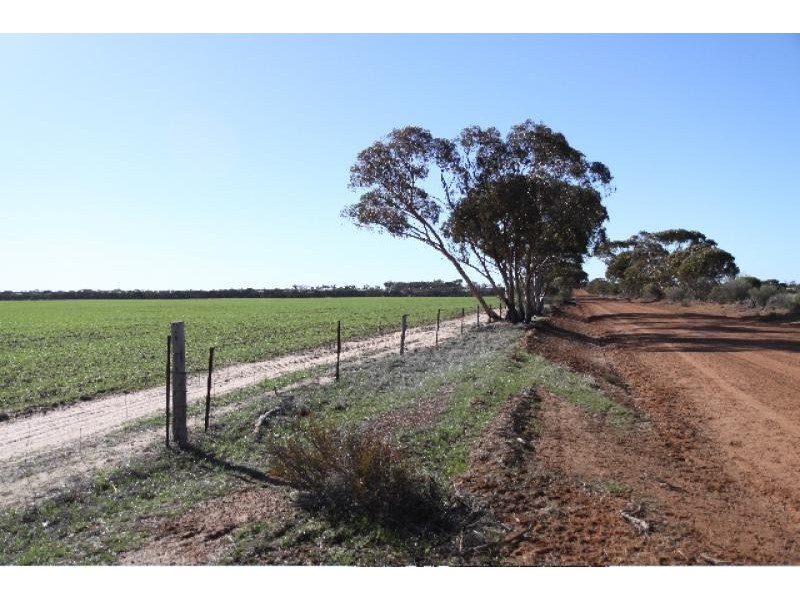 Moorine Rock WA 6425
