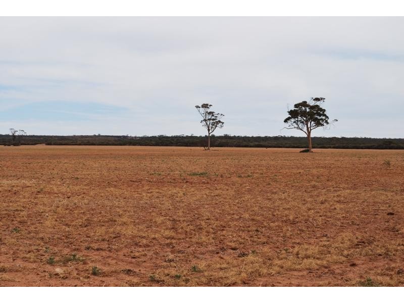 Warralakin WA 6421