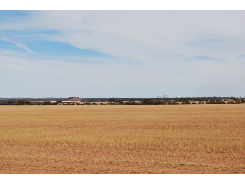 Warralakin WA 6421