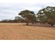 Warralakin WA 6421