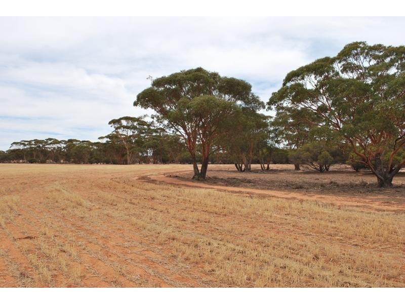 Warralakin WA 6421