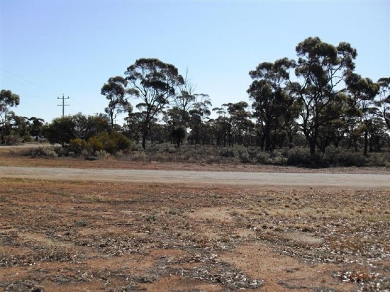 35 Dorothy Street, Bullfinch WA 6484