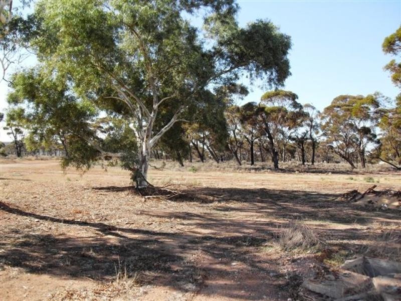 35 Dorothy Street, Bullfinch WA 6484