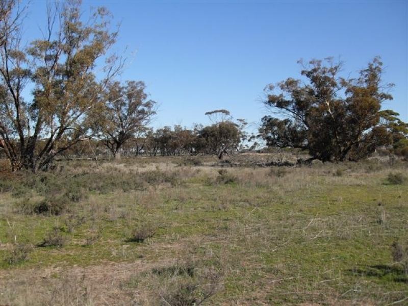 Lot 100/ Great Eastern Highway, Kellerberrin WA 6410
