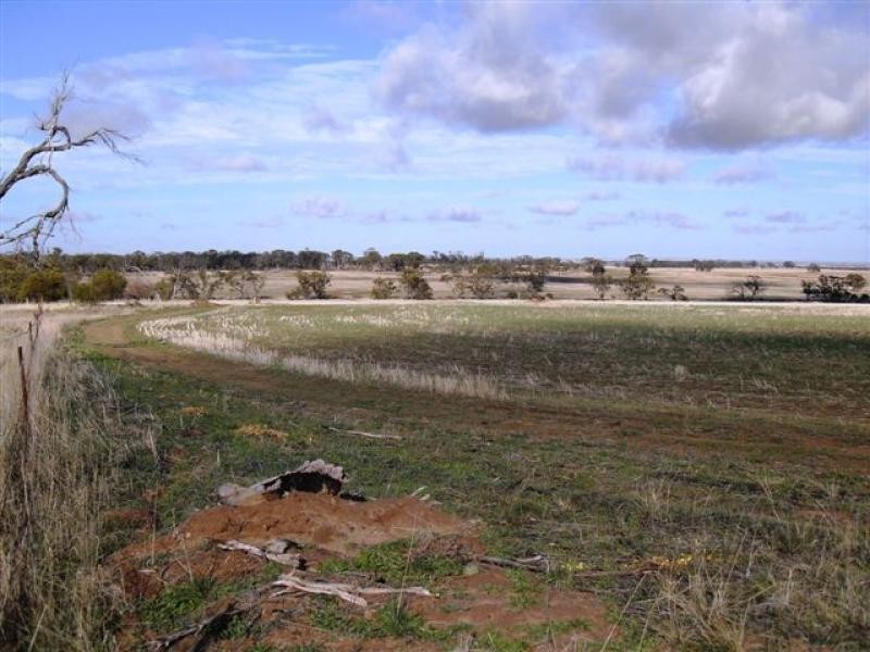 Lot 5139/ Waltham Road, Tammin WA 6409