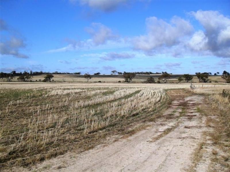 Lot 5139/ Waltham Road, Tammin WA 6409