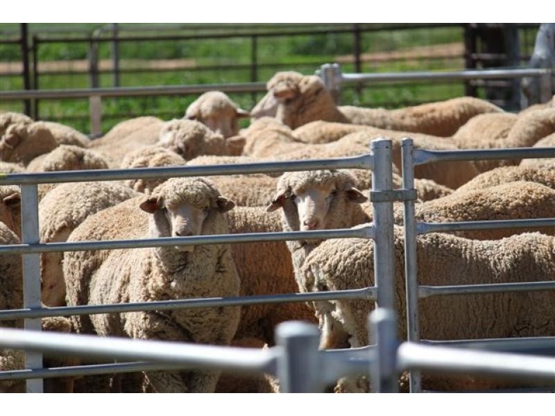 North Bodallin WA 6424