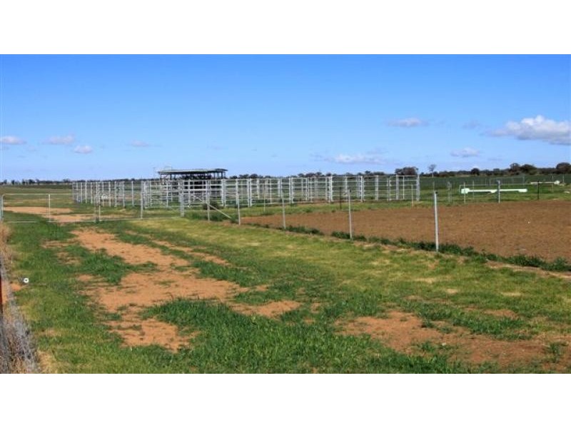 North Bodallin WA 6424