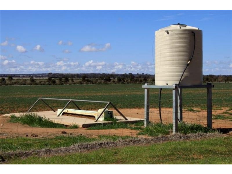 North Bodallin WA 6424