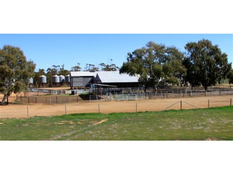 North Bodallin WA 6424