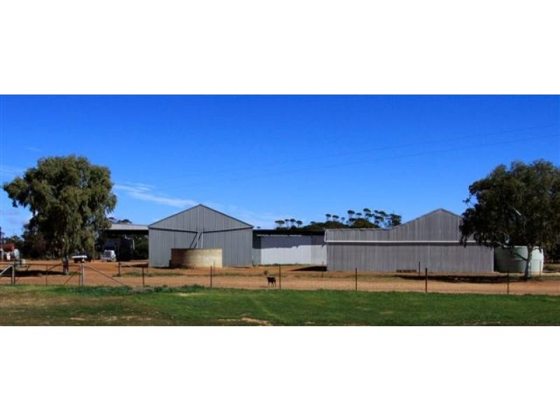 North Bodallin WA 6424