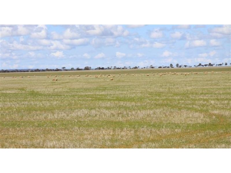 North Bodallin WA 6424