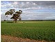 Lot 9451/ Nangeenan North Road, Merredin WA 6415