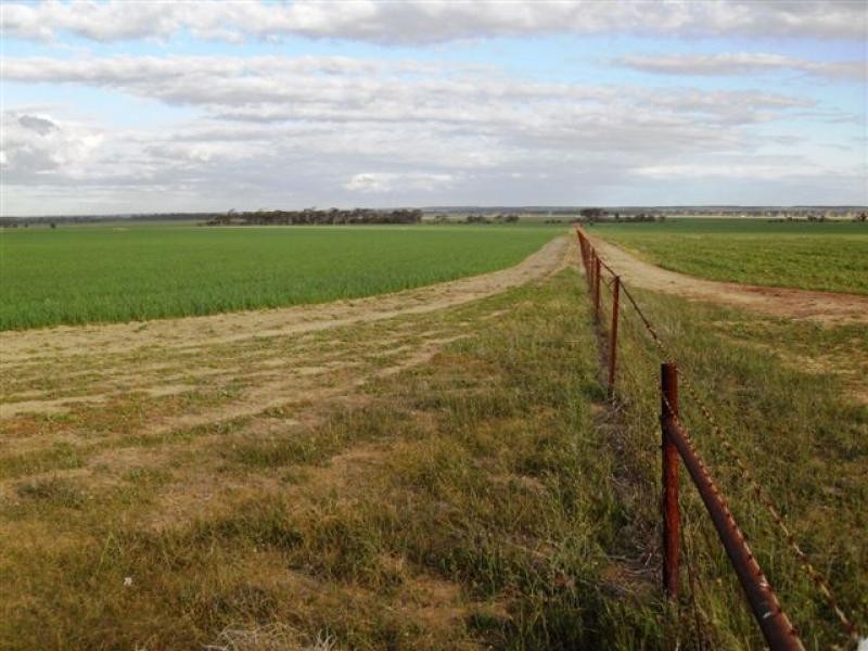 Lot 9451/ Nangeenan North Road, Merredin WA 6415