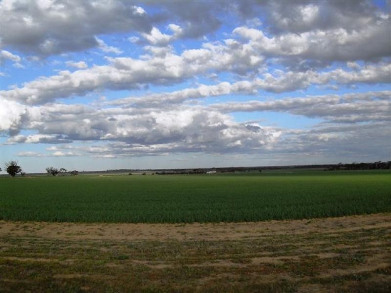 Lot 9451/ Nangeenan North Road, Merredin WA 6415