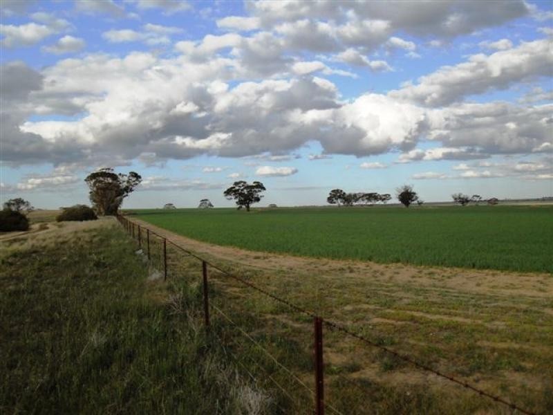 Lot 9451/ Nangeenan North Road, Merredin WA 6415