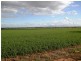Lot 9451/ Nangeenan North Road, Merredin WA 6415