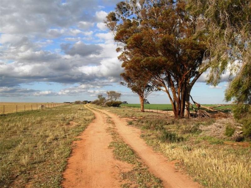 Lot 9451/ Nangeenan North Road, Merredin WA 6415