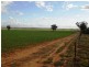 Lot 9451/ Nangeenan North Road, Merredin WA 6415