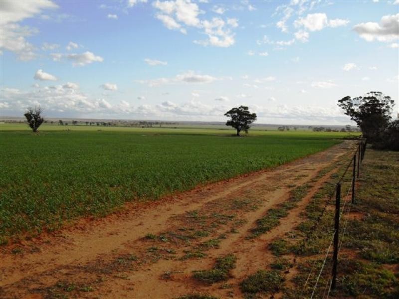 Lot 9451/ Nangeenan North Road, Merredin WA 6415