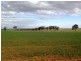 Lot 9451/ Nangeenan North Road, Merredin WA 6415