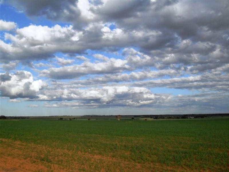 Lot 9451/ Nangeenan North Road, Merredin WA 6415