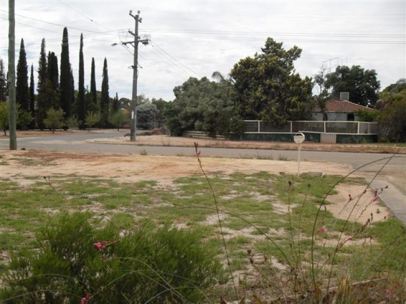 6 Haines Street, Merredin WA 6415