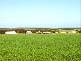 CHILPENUNDA, Streaky Bay SA 5680
