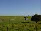 VARIOUS JESSIE FLAT ROAD, Streaky Bay SA 5680