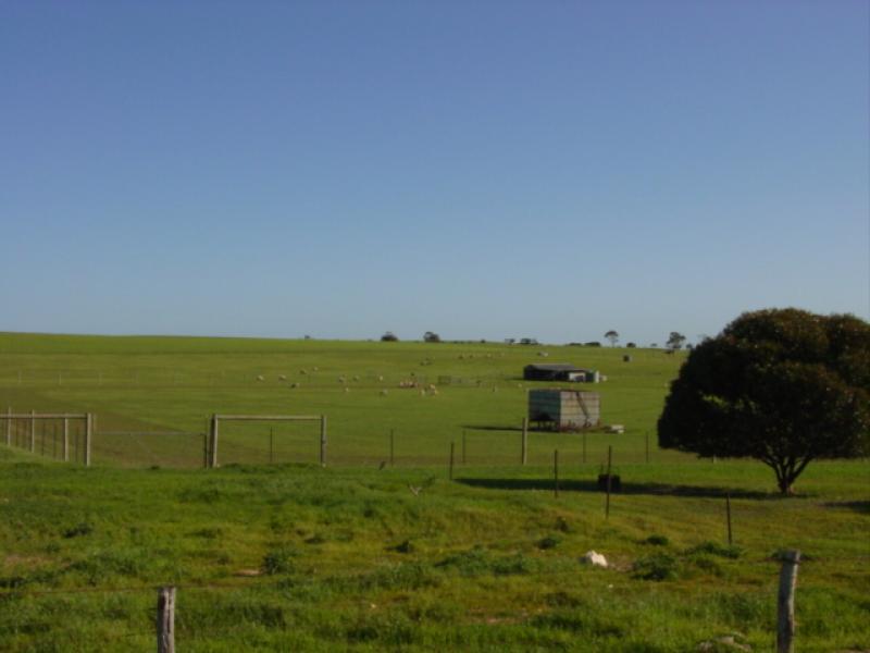 VARIOUS JESSIE FLAT ROAD, Streaky Bay SA 5680