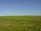 VARIOUS JESSIE FLAT ROAD, Streaky Bay SA 5680