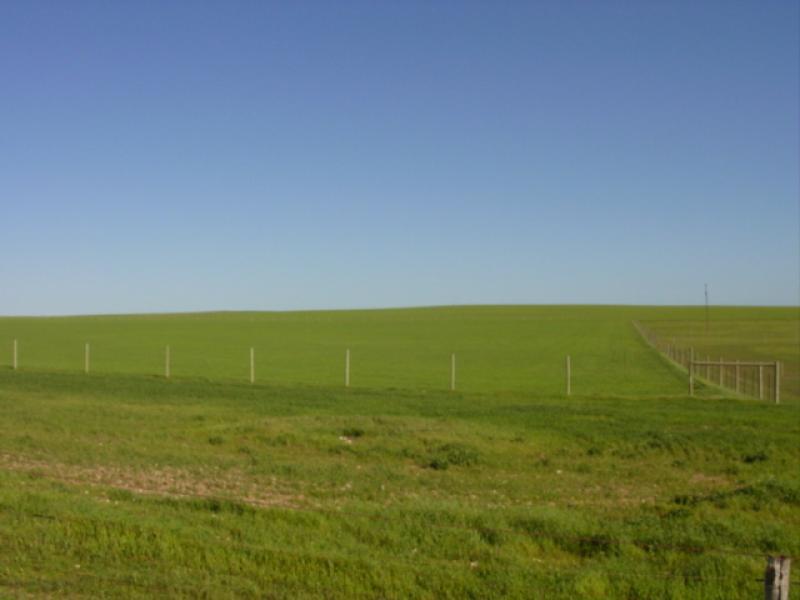 VARIOUS JESSIE FLAT ROAD, Streaky Bay SA 5680