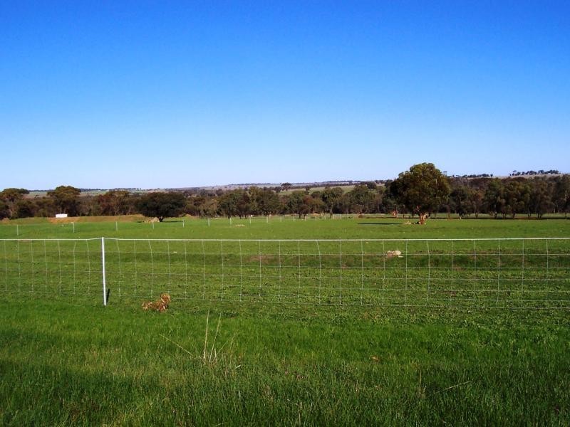 Lot 809/ Trimmer Road, Katanning WA 6317