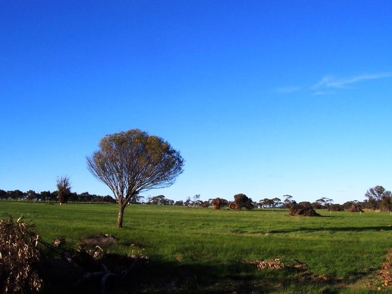 Lot 809/ Trimmer Road, Katanning WA 6317