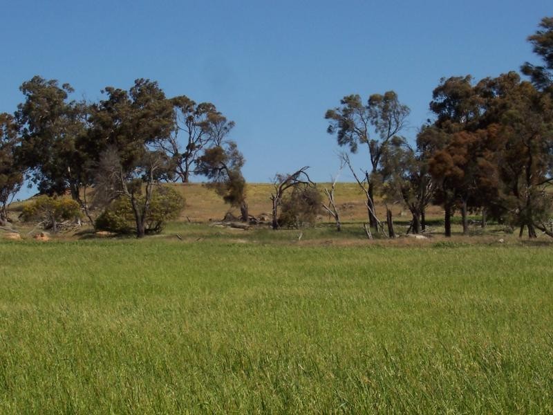 146 Mc Donald Road, Woodanilling WA 6316