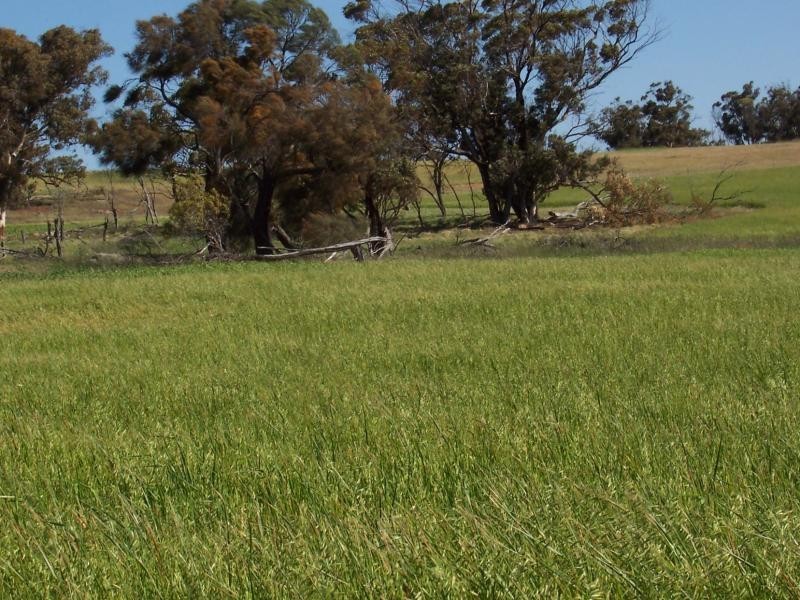 146 Mc Donald Road, Woodanilling WA 6316