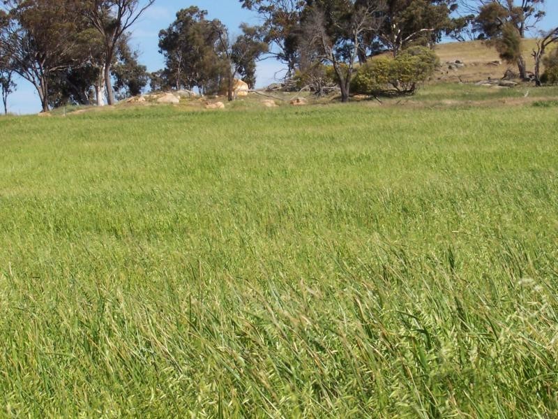 146 Mc Donald Road, Woodanilling WA 6316