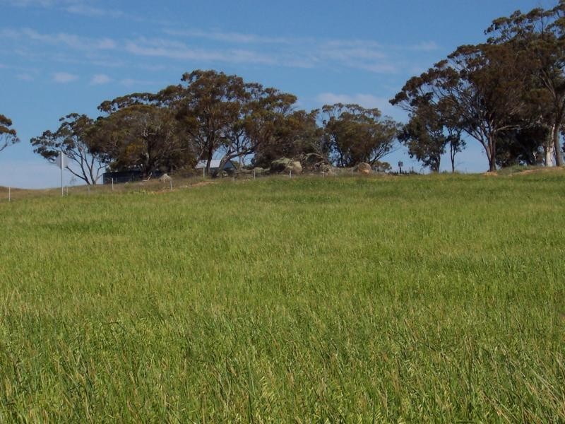 146 Mc Donald Road, Woodanilling WA 6316