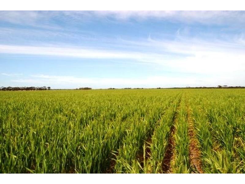 Lot 1236/ Gnowangerp-Jerramungup Road, Ongerup WA 6336