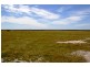 Lot 1236/ Gnowangerp-Jerramungup Road, Ongerup WA 6336