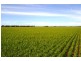 Lot 1236/ Gnowangerp-Jerramungup Road, Ongerup WA 6336