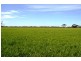 Lot 1236/ Gnowangerp-Jerramungup Road, Ongerup WA 6336