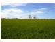 Lot 1236/ Gnowangerp-Jerramungup Road, Ongerup WA 6336