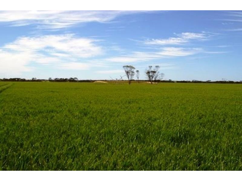 Lot 1236/ Gnowangerp-Jerramungup Road, Ongerup WA 6336