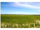Lot 1236/ Gnowangerp-Jerramungup Road, Ongerup WA 6336
