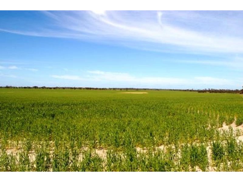 Lot 1236/ Gnowangerp-Jerramungup Road, Ongerup WA 6336