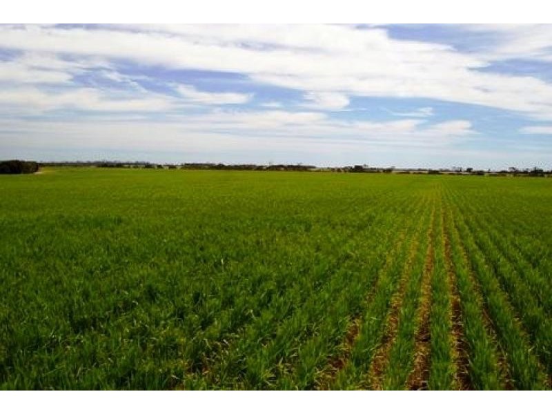 Lot 1236/ Gnowangerp-Jerramungup Road, Ongerup WA 6336