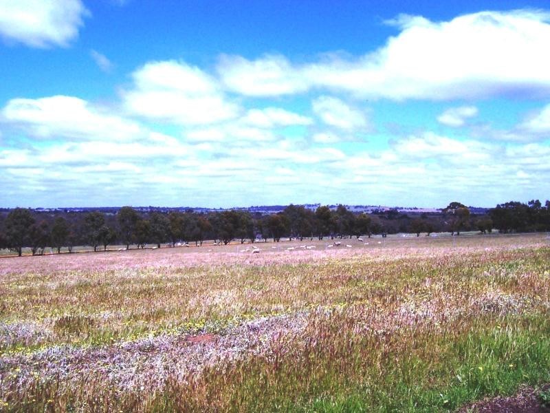 237 Hassell Road, Katanning WA 6317